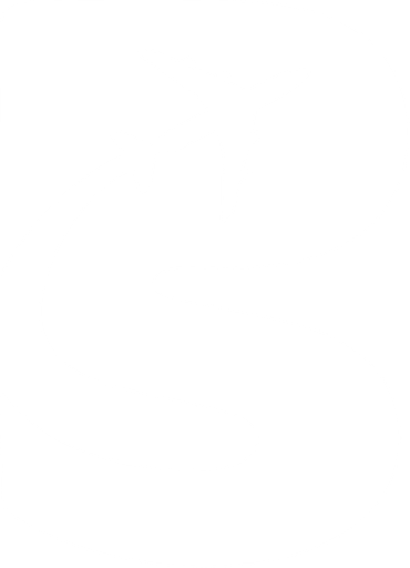 Plane Silly